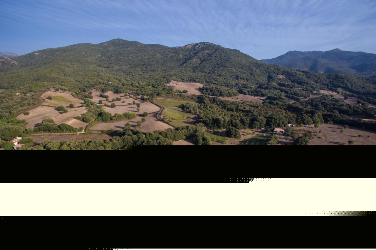 Cauro Domaine Finiliヴィラ エクステリア 写真